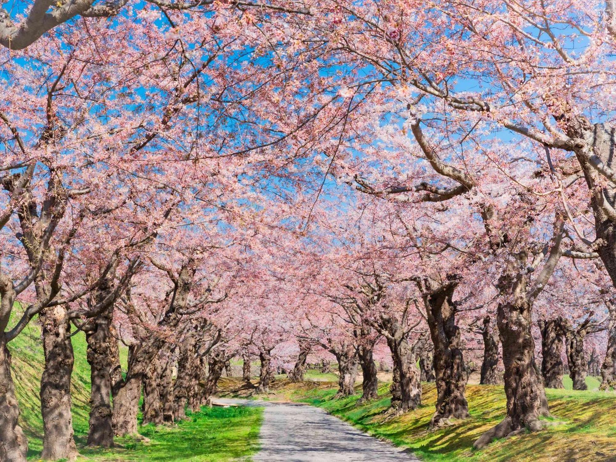 Gran Palette Hakodate Bagian luar foto